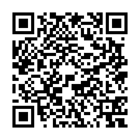 QR code for LZA0307