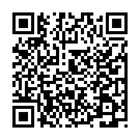 QR code for LZV2455