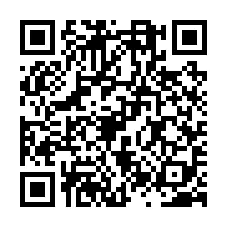 QR code for LZW2993