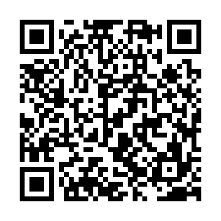 QR code for LZZ336