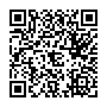 QR code for MAS0933