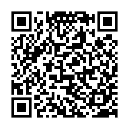 QR code for MDG585