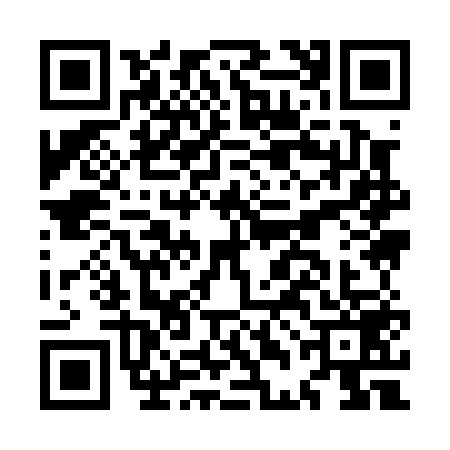 QR code for MDI0595
