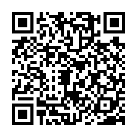 QR code for MIE6593