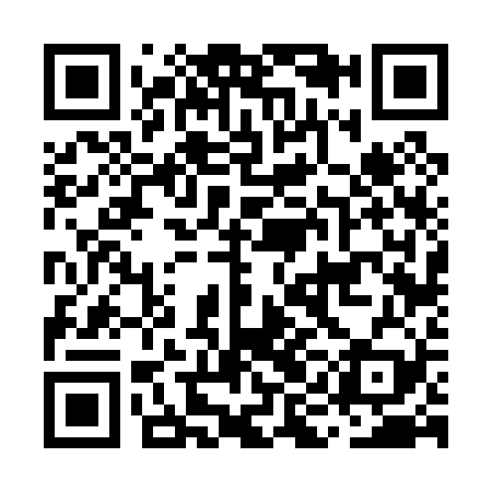 QR code for MIF029