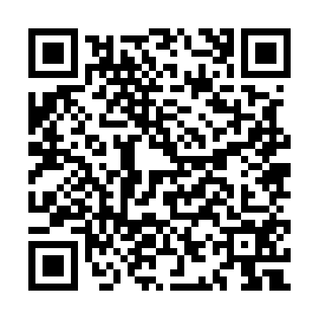 QR code for MIZ5541