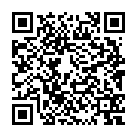 QR code for MQL6363