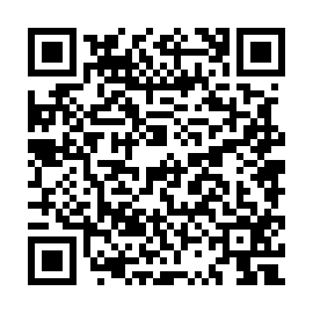 QR code for MSN5161