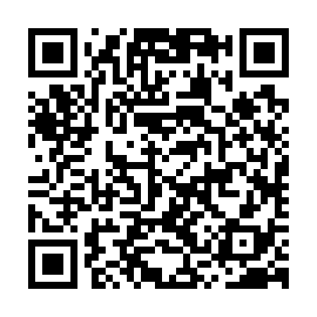 QR code for MSR738