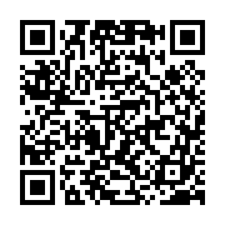 QR code for MSV063