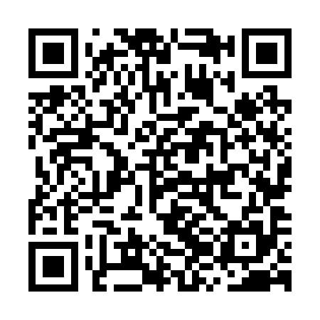 QR code for MZN295