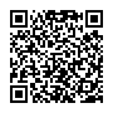 QR code for NAR638