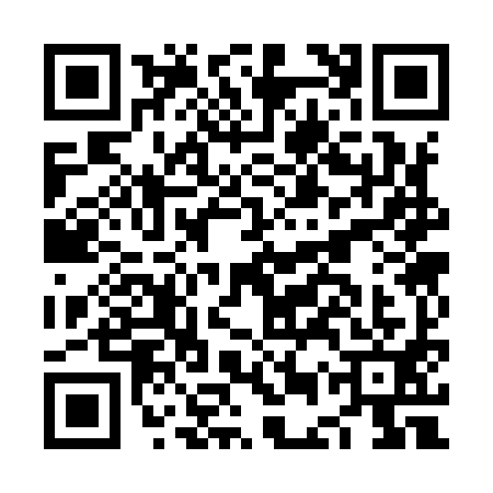 QR code for NES9917