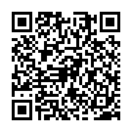QR code for NFB2333