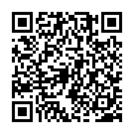 QR code for NFN3919