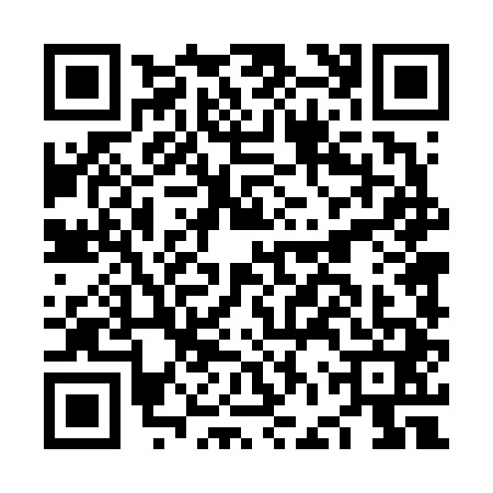 QR code for NFT6411