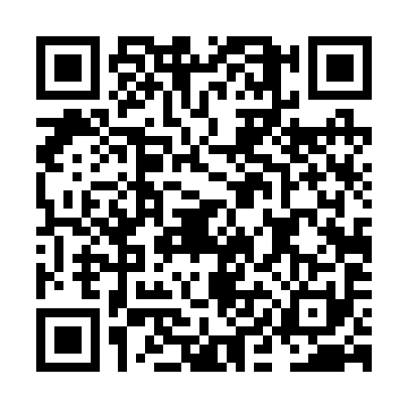 QR code for NID2919