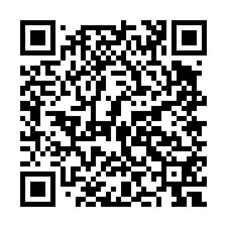 QR code for NIE450