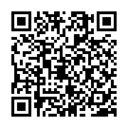QR code for NIK8381