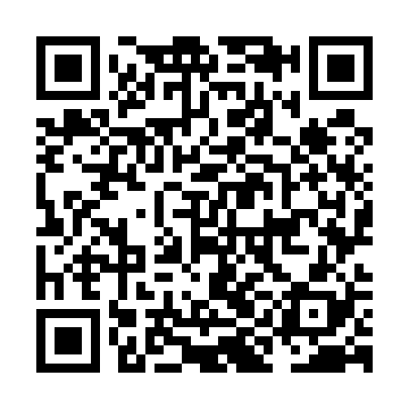 QR code for NIO528