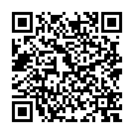 QR code for NIY0291