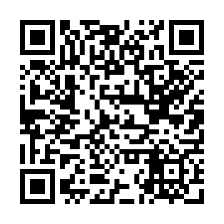 QR code for NNT369