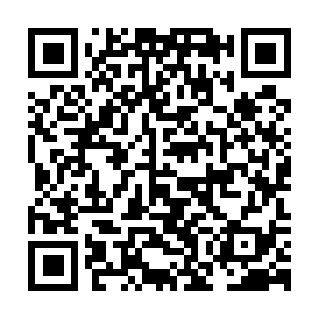 QR code for NOK539