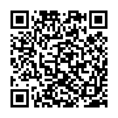 QR code for NPA493