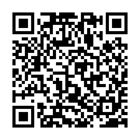 QR code for NPC295