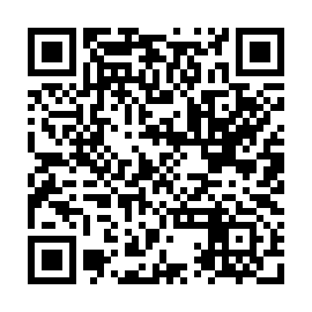 QR code for NQI393
