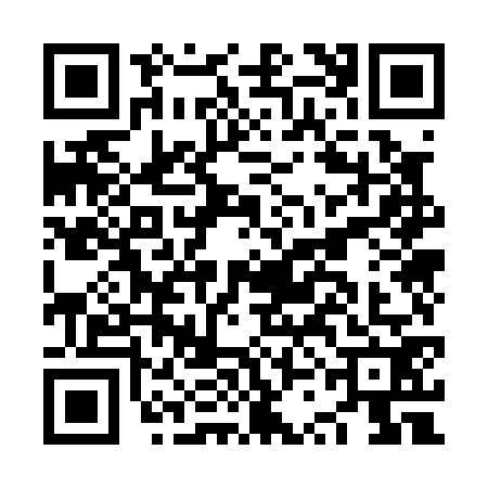 QR code for NSO0729