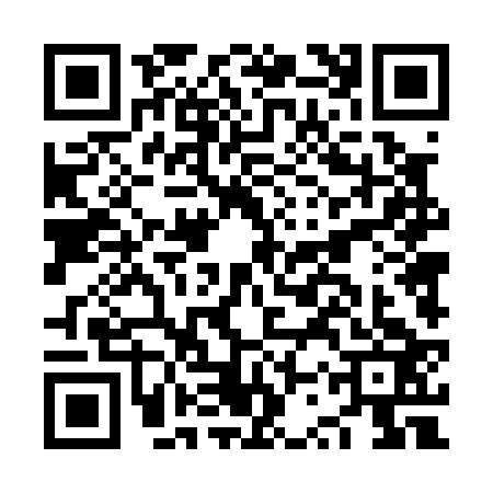 QR code for NST0239