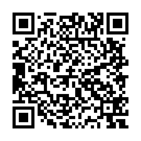 QR code for NSX519