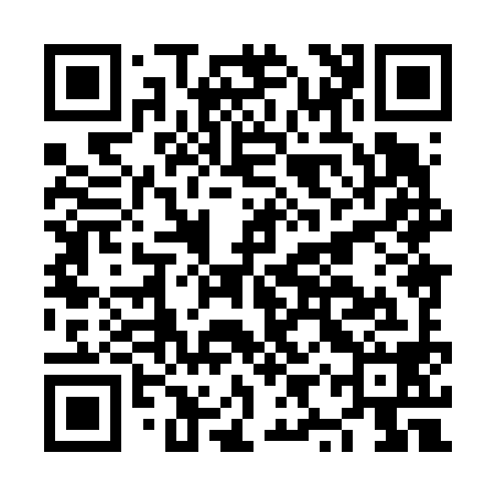 QR code for NYX698