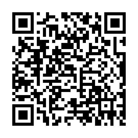 QR code for NZN3447
