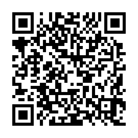 QR code for NZY383