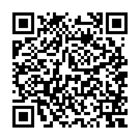 QR code for NZZ3833