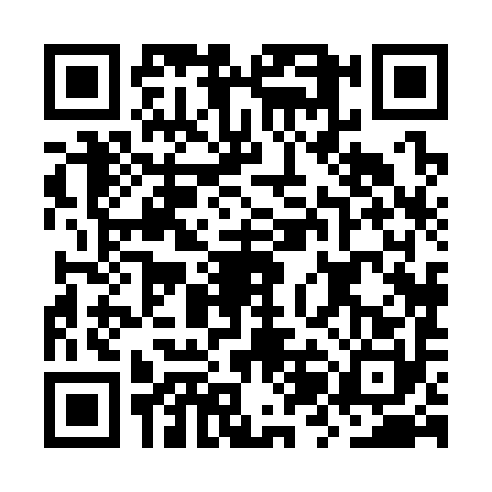 QR code for OZH3906