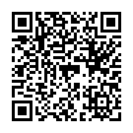 QR code for PAL2849