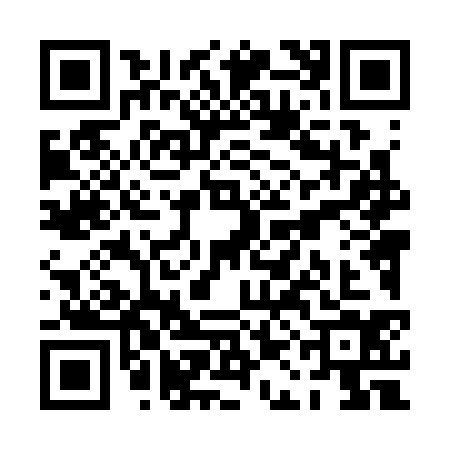 QR code for PAL3341