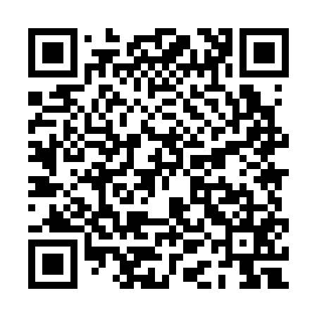 QR code for PAM355