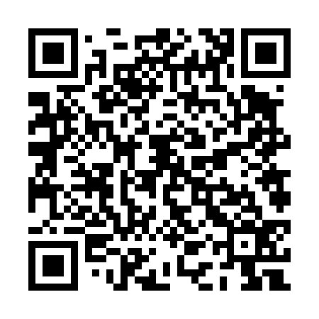 QR code for PAV436