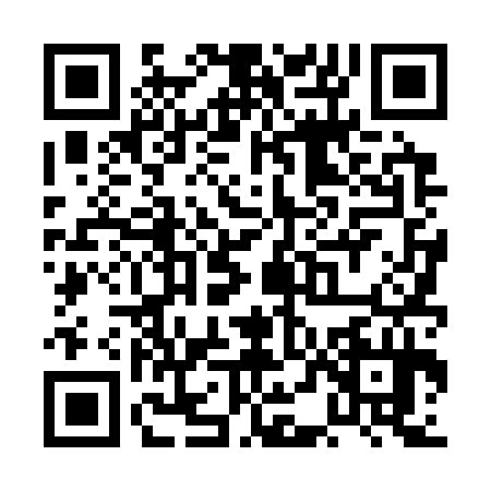 QR code for PDD3341