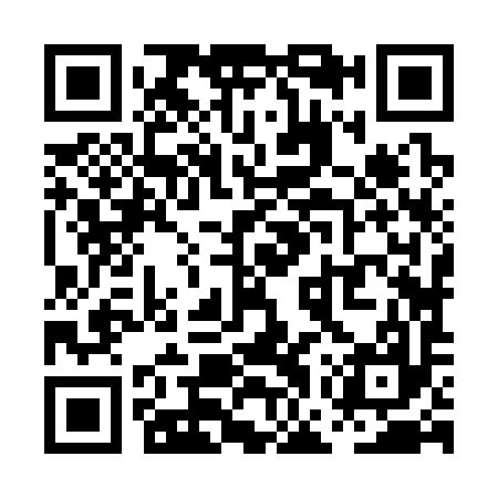 QR code for PGZ397