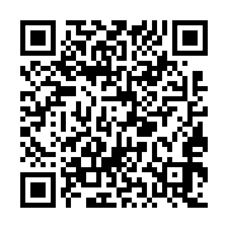 QR code for PIG653