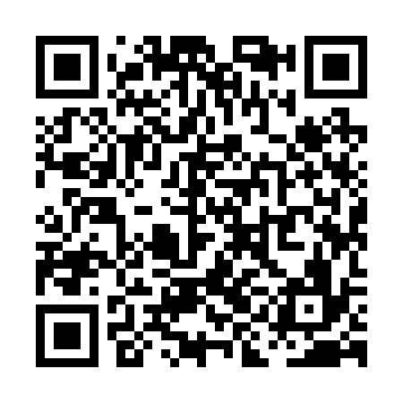 QR code for PII236