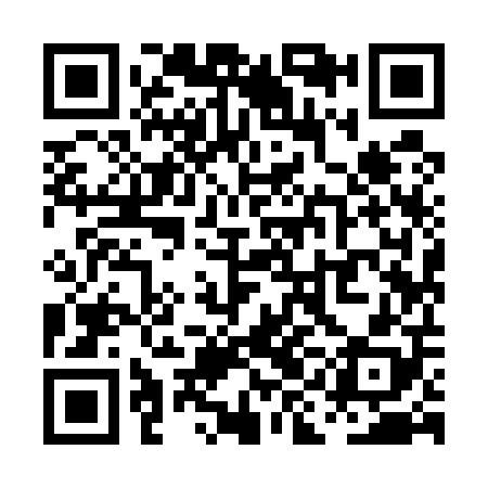 QR code for PII508