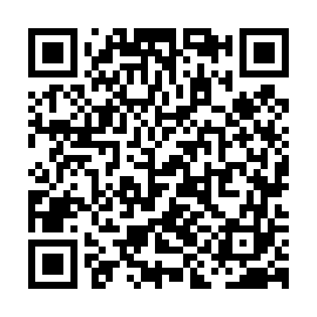 QR code for PIN463
