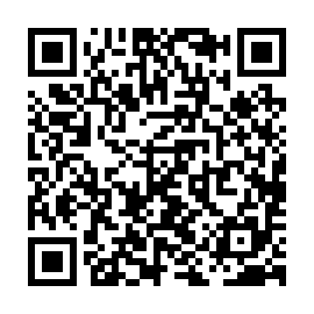 QR code for PIP295