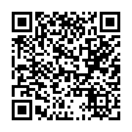 QR code for PIT939